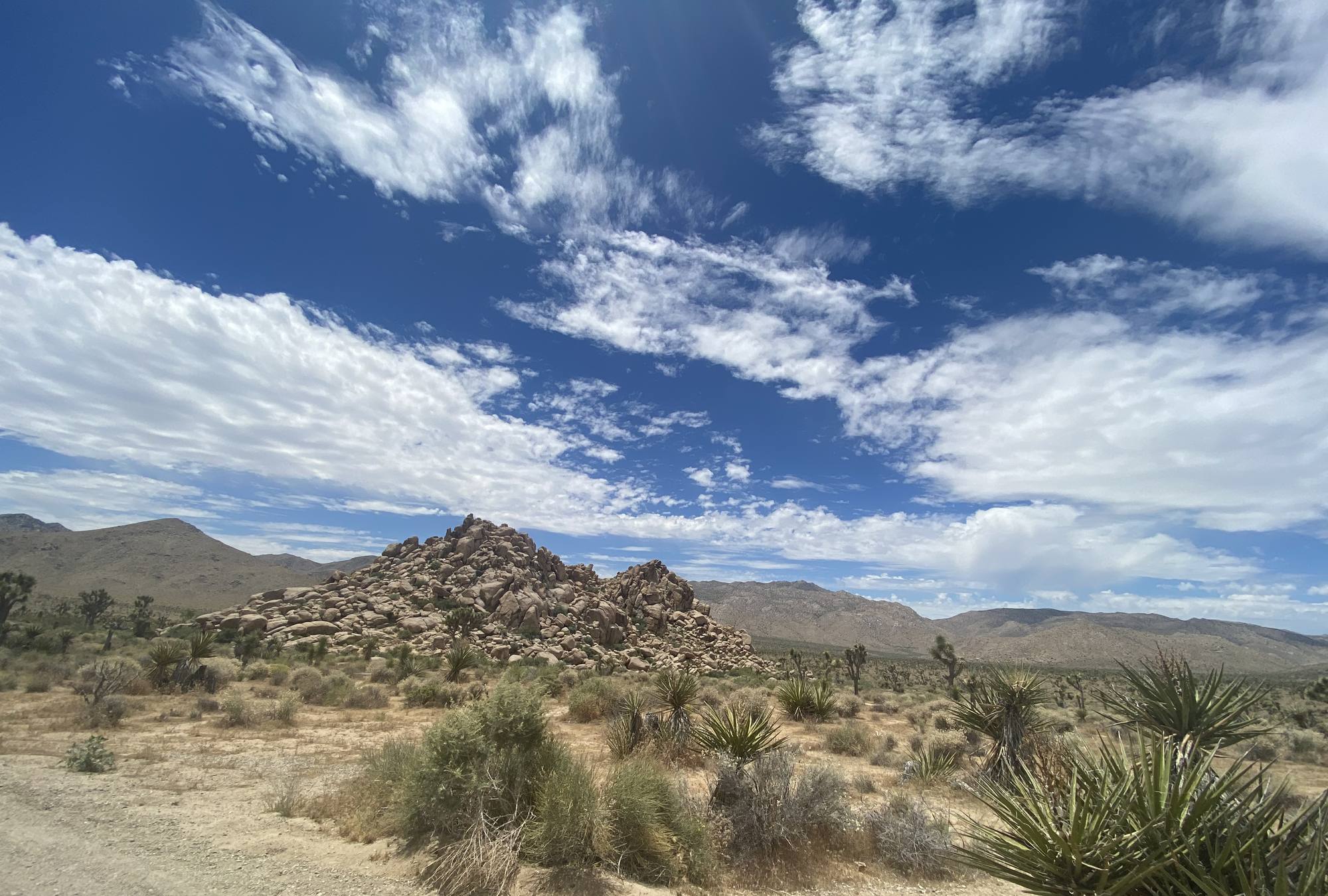 Joshua Tree National Park