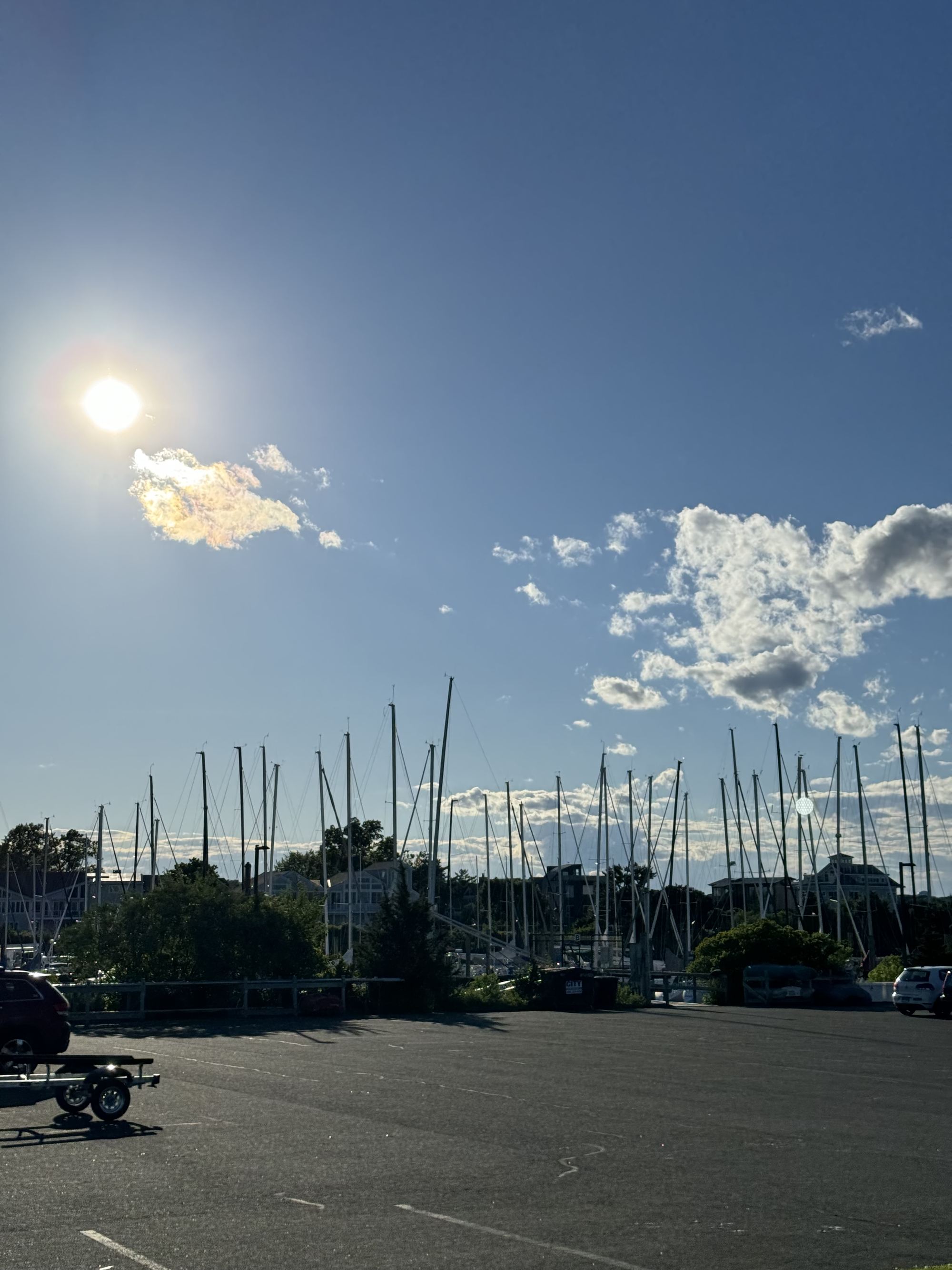 A marina full of sailboat masts, Westport, Connecticut