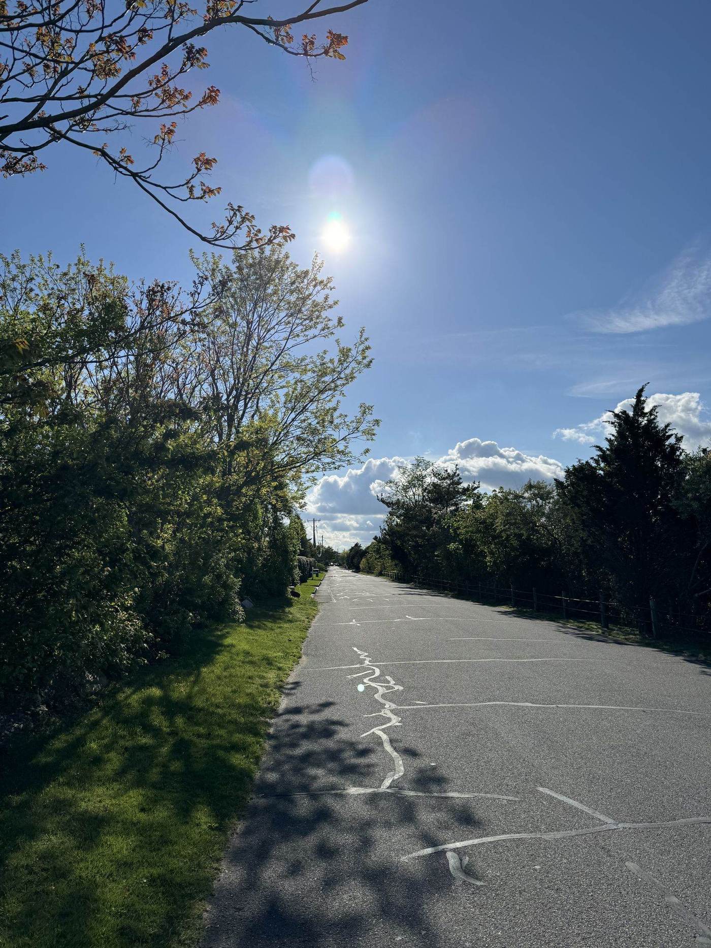 A tree-lined road near the water, Westport, Connecticut