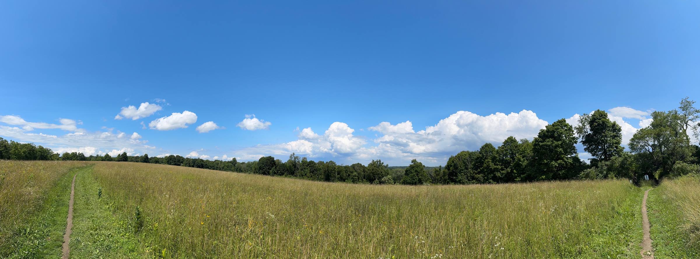 A panoramic view of a field with two diverging paths, Redding, Connecticut